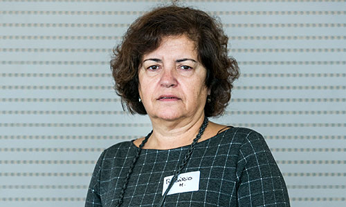 Rosário Macário, professora no Instituto Superior Técnico e presidente da IASA, é o rosto principal da iniciativa.